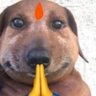 Gabru's profile picture