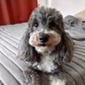 Profilbild von LuVAL