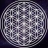 Hajian's profile picture