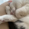 kimi profil fotoğrafı