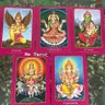 🕉️💰4289 Me Tarot 6395 💰🕉️ 的头像