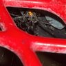daniel o 的头像