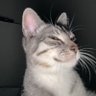 BigDumb profil fotoğrafı