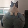 Совокупец первой гильдии's profile picture