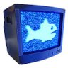 Фото профиля 🐟🖥️FishAI 🖥️🐟