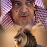 Profilbild von النشمي