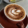 mochalatte 的头像