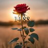 Tilpy profil fotoğrafı