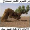 Profilbild von محمد القرني