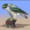 عبدالله قيفي profil fotoğrafı