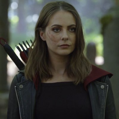 SienaSwipes's profile picture