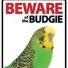 Budgie Smugglerz's profile picture