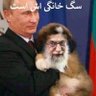 Фото профиля Mehran kiani