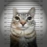 blurr profil fotoğrafı