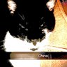 Henry Wienerspeck's profile picture