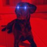 6.5CreedMeMoor's profile picture