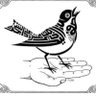 Thabet 的头像