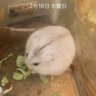 Profilbild von 紺野誠治