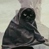 Profilbild von Ramba Zamba