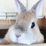 Profilbild von みかん