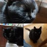 yasu.i profil fotoğrafı
