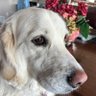 Profilbild von Murph