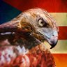 Guaraguao 🇵🇷🦅's profile picture
