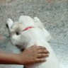 💖🌹Isanth 💖🌹 profil fotoğrafı
