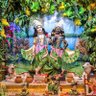 Фото профиля Naresh Pavasiya