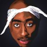 ouin_ouin's profile picture