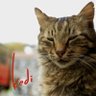 Keditv's profile picture
