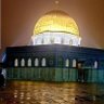 Hager Alhager's profile picture