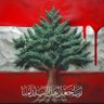 malak_ay's profile picture