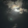 su/k's profile picture