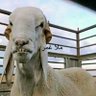 ياد profil fotoğrafı