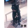 M.Seixas profil fotoğrafı