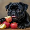 Profilbild von Fatpugbug
