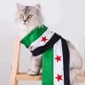 🦅Nadia,بنت العدية🦅 的头像