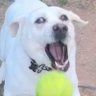 Profilbild von Chansen