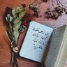 ..Hams Alhashmi profil fotoğrafı