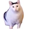 Profilbild von Spunnnnnnnn