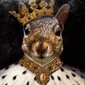 Фото профиля Lord Squirrelious