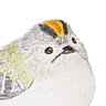 Goldcrest's profile picture