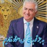 سرباز گارد جاویدان 🦁🌞👑 的头像
