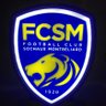 les sochaliens's profile picture