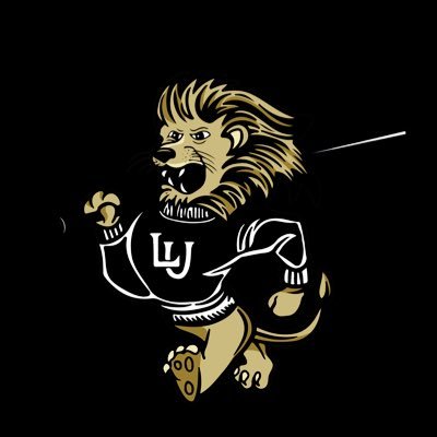 LULIONSBASEBALL's profile picture