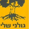 מוששקורי נאווה profil fotoğrafı
