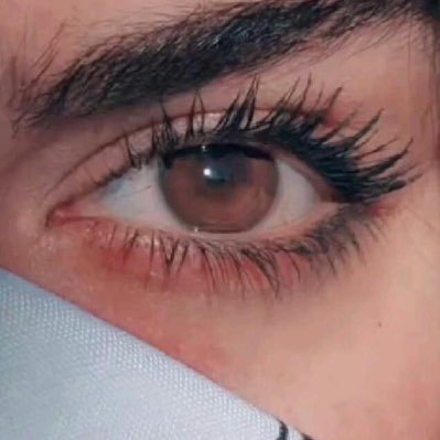 FB3336's profile picture