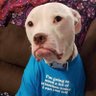 Carlos R. Barrios's profile picture