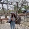 芸歌's profile picture